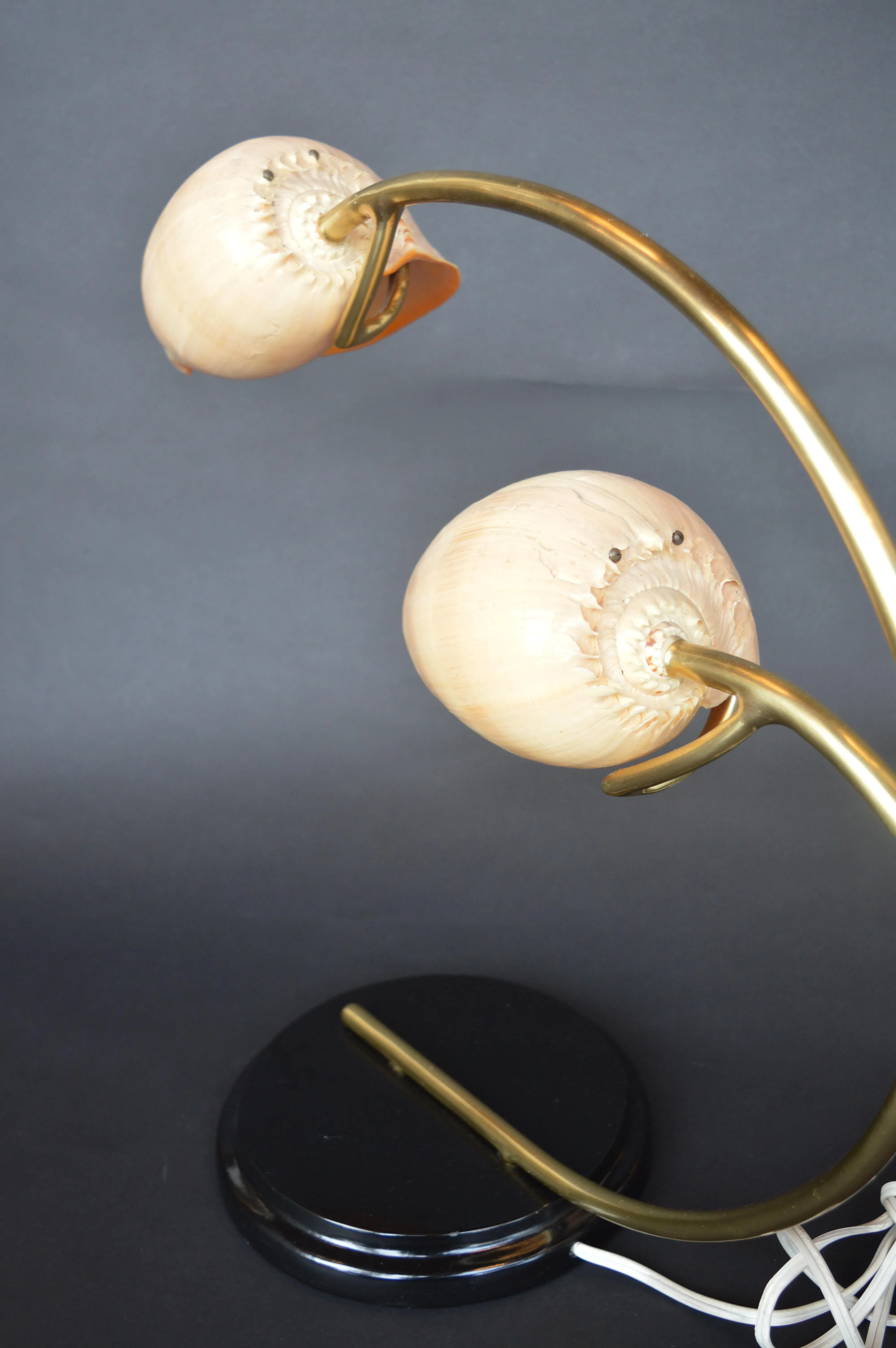 conch shell table lamp