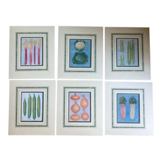 Nine 20th Century Hand Colored Prints of Various Vegetables With Handmade Mattings. For Sale