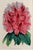 Antique Botanical Prints by Sir Joseph Paxton From the Magazine of Botany For Sale - Image 16 of 17