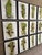 The Eighteen Framed Art, Set of 18 For Sale - Image 5 of 11