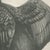 After Lilian Medland, Shag, 1909, Print For Sale - Image 6 of 9