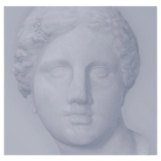 Benoit Lapray, Iconic Beauty #15, Photographic Print For Sale