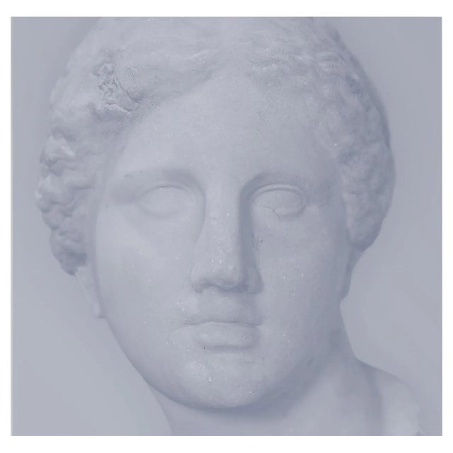 Benoit Lapray, Iconic Beauty #15, Photographic Print For Sale