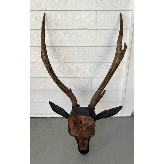 Antique 19th Century Folk Art Carved Wood Black Forest Baroque Deer Head & Antlers Wall Trophy For Sale - Image 11 of 12