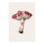 6" X 9" 'Caesar's Mushroom' or 'Amanita Caesarea' - Original Botanical Herbarium Watercolor & Pencil Fine Art Print For Sale