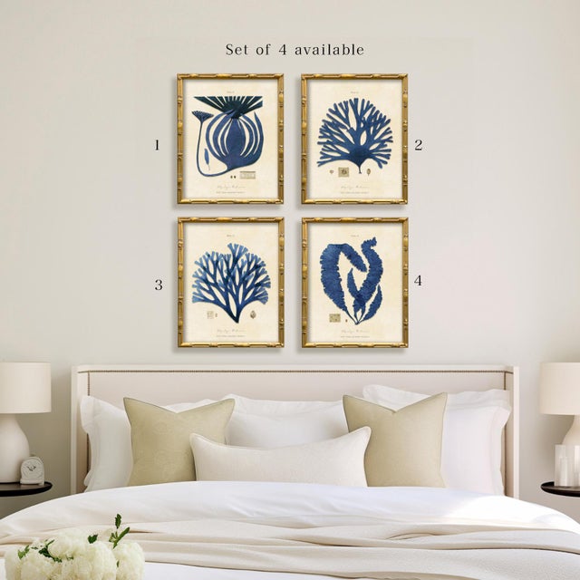 2020s Vintage Blue Seaweed Art Print Reproduction (2), Framed For Sale - Image 5 of 5