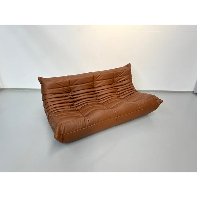 Animal Skin Togo Three-Seater Sofa in Dark Cognac Leather by Michel Ducaroy for Ligne Roset For Sale - Image 7 of 12