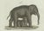 Bertuch, Elephant and Mysterious Sukotyro, 1800, Engraving For Sale - Image 6 of 9