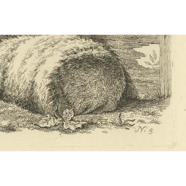 Oberman, Three Sheep Resting, 1810, Etching on Paper For Sale - Image 4 of 9