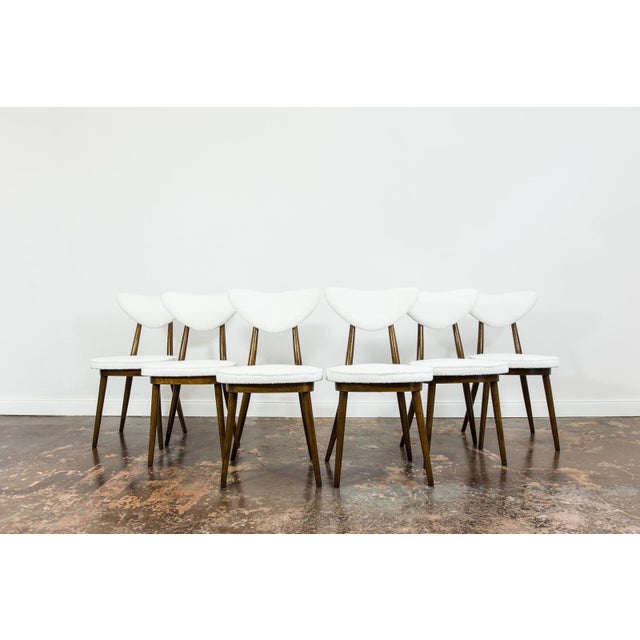 A set of six dining chairs, model 124, designed by Helena and Jerzy Kurmanowicz and manufactured by Radomszczańskie...