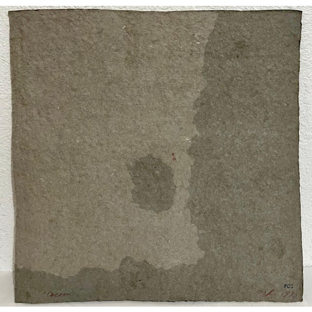 Suzanne Anker, Organic Abstract Cast Paper Sculpture Relief Painting Suzanne Anker, 1990 For Sale - Image 4 of 6