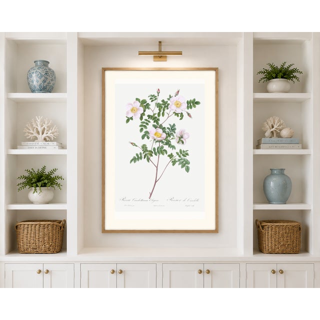 Not Yet Made - Made To Order White Rose, Vintage Botanical Art Print Reproduction by Pierre-Joseph Redouté, 20" X 30" For Sale - Image 5 of 11