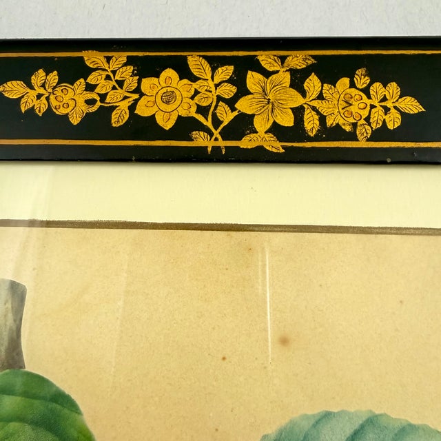 Mid 19th Century English Regency Period Watercolored Cherry Print in Hand Painted Lacquered Frame For Sale - Image 5 of 16