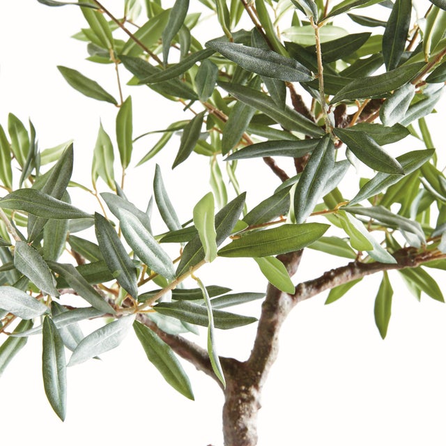 Realism Olive Tree Drop-In 40" For Sale - Image 3 of 6