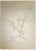 The Bird is an original drawing in pencil on paper realized by Leo Guida in the 1970s. Good condition with some sign of...