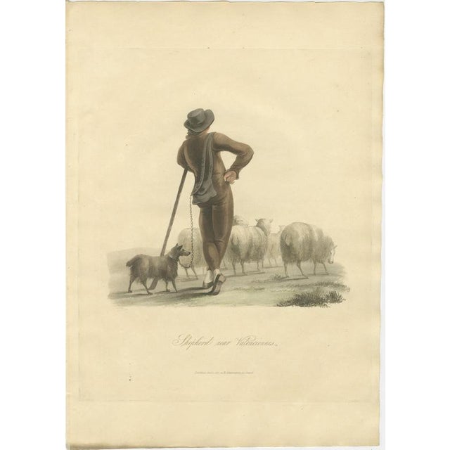 Hollywood Regency After Miss Semple, Shepherd Near Valenciennes with His Flock, 1817, Engraving For Sale - Image 3 of 9