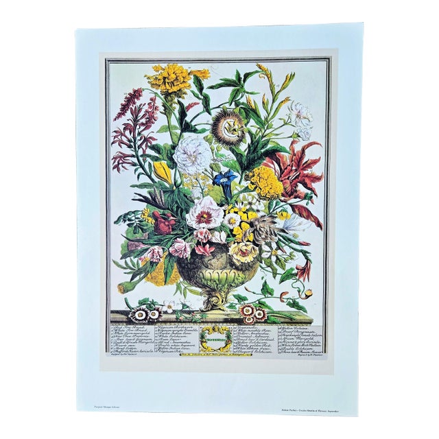 1980s Vintage Robert Furber September Botanical From "Twelve Months of Flowers” Pierpont Morgan Library Print For Sale