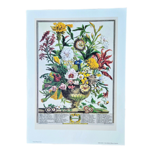 1980s Vintage Robert Furber September Botanical From "Twelve Months of Flowers” Pierpont Morgan Library Print