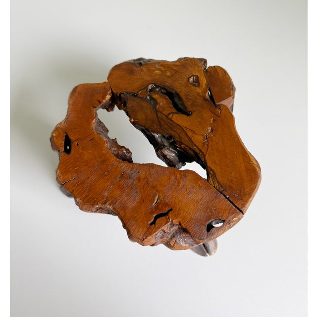 Wood Vintage Olive Root Pedestal Riser For Sale - Image 7 of 11