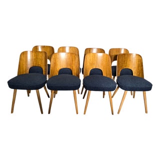 Dining Chairs by Oswald Haerdtl, 1950s, Set of 8 For Sale