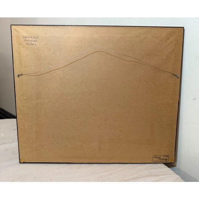 Antique Original 19th Century Framed Indian Dual Tiger Hunt Sepia Photographs For Sale - Image 13 of 13