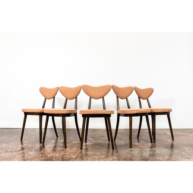 1950s Dining Chairs by H & J Kurmanowicz, Poland, 1950s, Set of 5 For Sale - Image 5 of 18