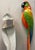 Macaws in Fiberglass & Epoxy, Italy, 1970s, Set of 2 For Sale - Image 12 of 18