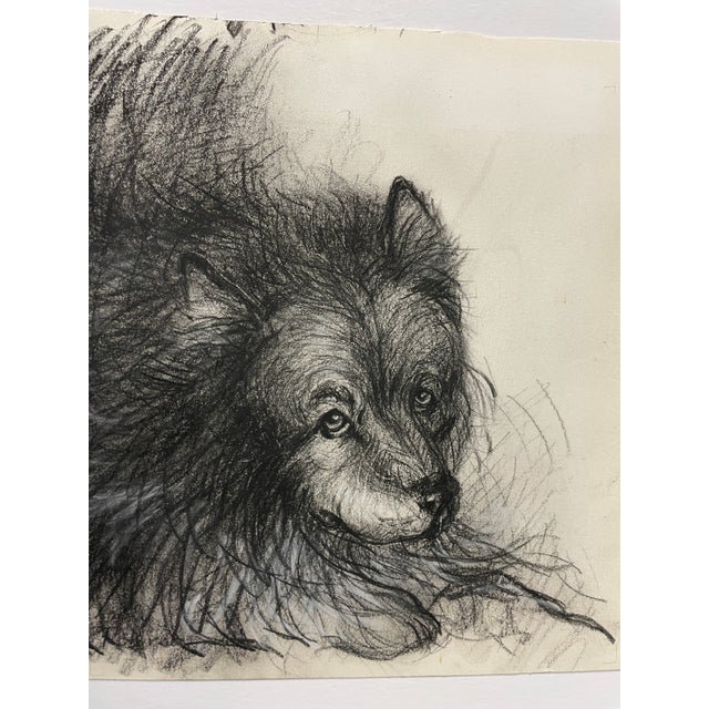 1970s drawing of a dog. Unsigned, charcoal on paper. Combined shipping available, please inquire.