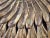 1950s Gold Metal Tole Sunburst Shade for Ceiling Light Fixture, Made in Italy For Sale - Image 15 of 18