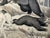 Illustration 1940s Original Signed Graphite Illustration of Bear Confronting Hunting Dog, 12 × 9.5 In. For Sale - Image 3 of 6