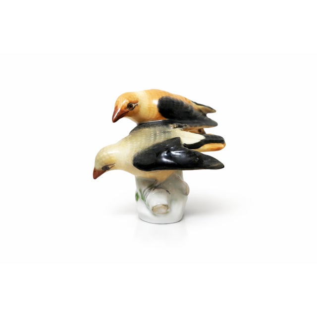 Vintage Hand-Painted Porcelain Birds Figurine from Herend, 1970s For Sale - Image 4 of 7
