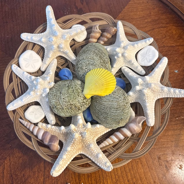 A striking celebration of organic design, this coastal centerpiece shifts the focus from simple arrangement to the...