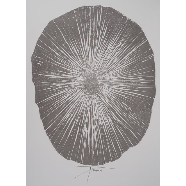 Pierre-Yves Trémois, Sea Urchin, Original Engraving For Sale