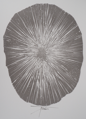 Pierre-Yves Trémois, Sea Urchin, Original Engraving