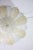 Vintage Italian Murano Glass Amber and Trasparent Ceiling Light - Set of 2 For Sale - Image 14 of 14