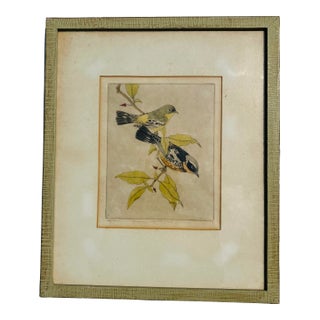 1940s Ornithological Etching Signed Benson Moore For Sale
