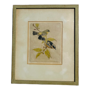 1940s Ornithological Etching Signed Benson Moore