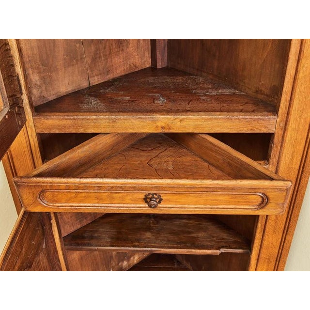 Brown Small Corner Cabinet in Oak, 1800s For Sale - Image 8 of 13