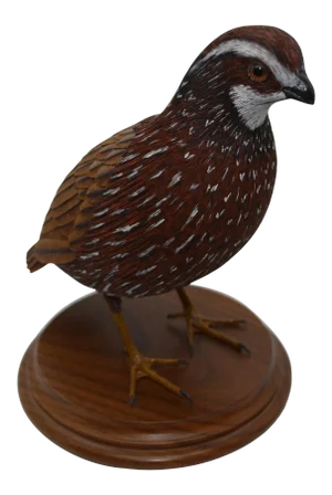 Vintage 1990s Life Size Bob White Quail Bird Carving