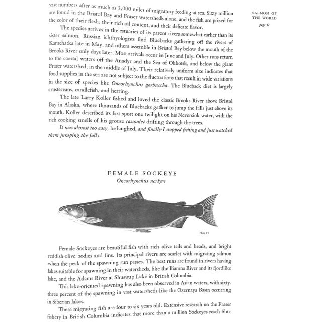 "Salmon of the World" 1970 Schwiebert, Ernest For Sale - Image 11 of 13