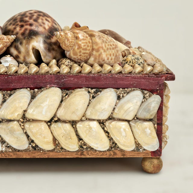 Antique British Colonial Seashell Encrusted Jewelry Box For Sale - Image 11 of 12