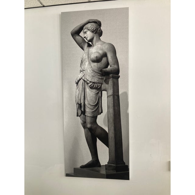 Gray William Gray Harris Photograph on Canvas “Wounded Amazon” For Sale - Image 8 of 8