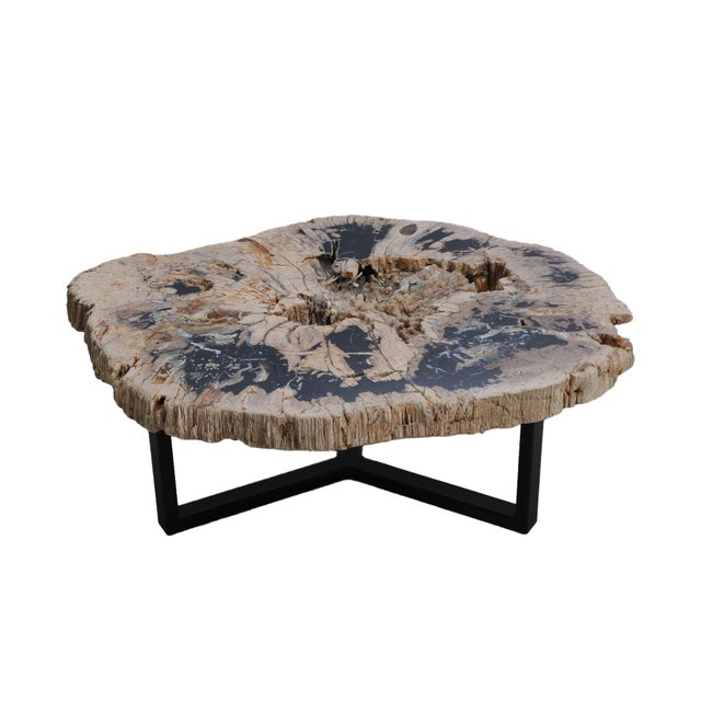 Petrified Wood Coffee Table with Crystals by Xyleia Petrified Wood For Sale - Image 6 of 6