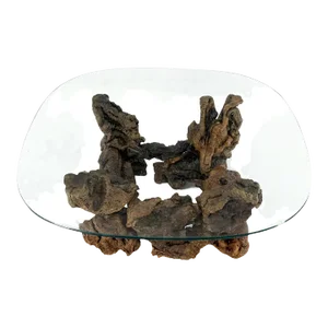 Burl Wood Root Organic Base Large Rounded Square Glass Top Coffee Center Table