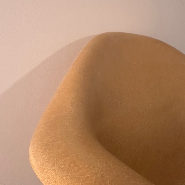 1960s DAR Armchairs in Fiberglass by Charles and Ray Eames for Herman Miller, 1960s, Set of 4 For Sale - Image 5 of 12