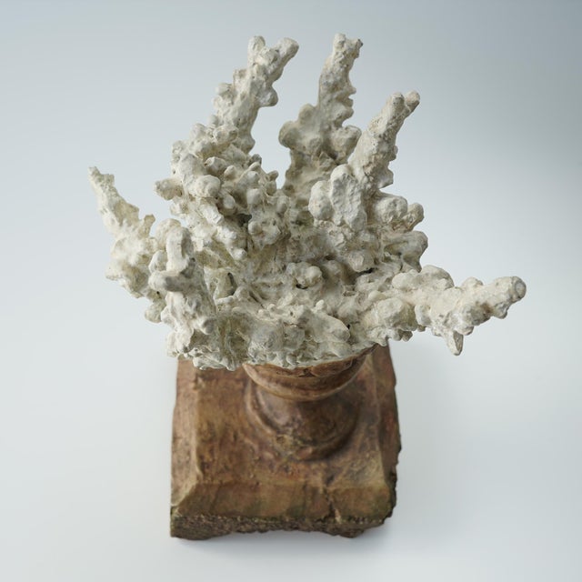 Faux Coral Assemblage on an Antique Italian Urn Decorative Sculpture For Sale - Image 11 of 15