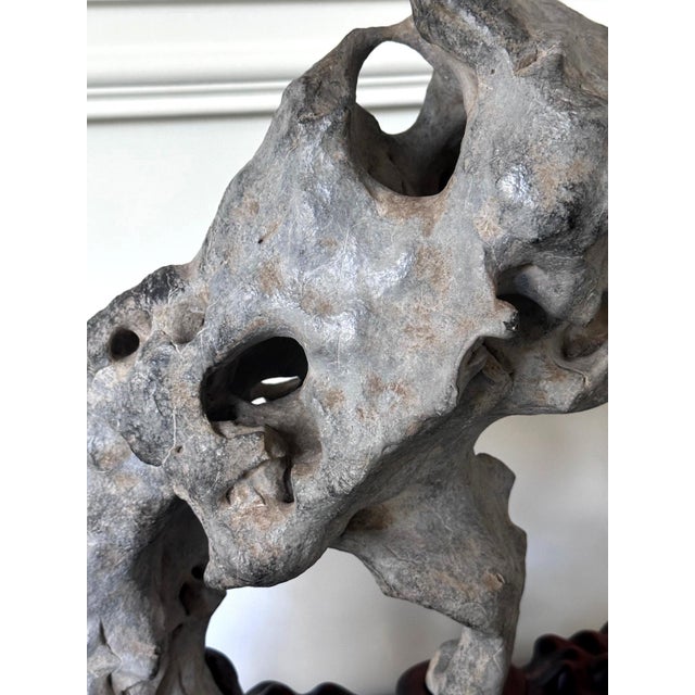Extraordinary Chinese Taihu Scholar Stone Rare Form on Display Stand For Sale - Image 11 of 18