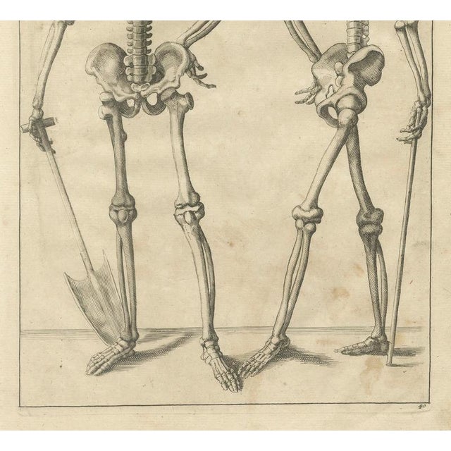 Anatomical Skeleton Study, 1745, Paper For Sale - Image 3 of 9