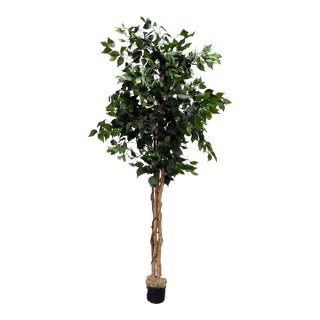 Artificial Ficus Tree For Sale