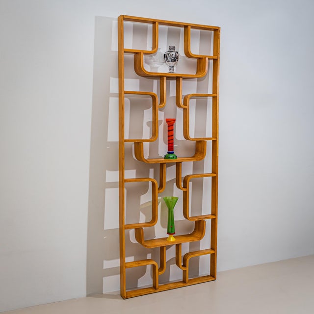 Mid-Century Room Divider by Ludvík Volák for Dřevopodnik Holešov, Czech Republic, 1950s For Sale In New York - Image 6 of 7